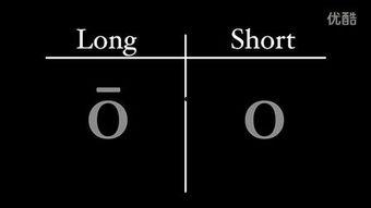 tube8国产,揭秘国内热门视频平台背后的精彩故事