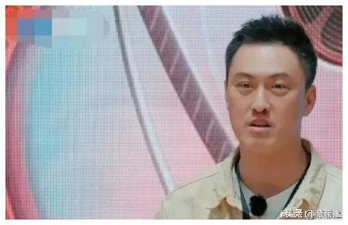 娱乐圈的瓜和我所吃的瓜,明星幕后故事与八卦风云