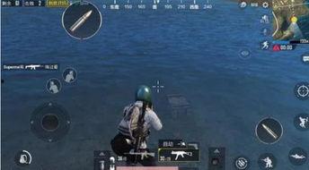 娱乐大瓜在线吃鸡游戏,在线吃鸡游戏，畅享欢乐竞技盛宴