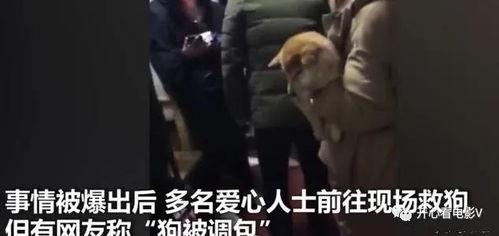 主人调教视频国产