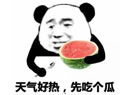 吃瓜表情说明什么,揭秘网络社交中的窥探与娱乐