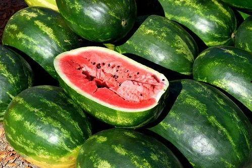 娱乐吃瓜的素材视频大全,笑料百出，精彩纷呈！